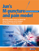 Jun's M-Puncture & pain mod...