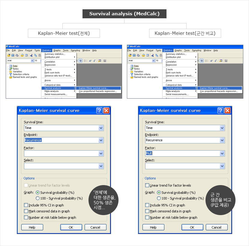 Survival analysis (MedCalc) 화면 이미보기